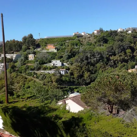 L'amandier Nizza